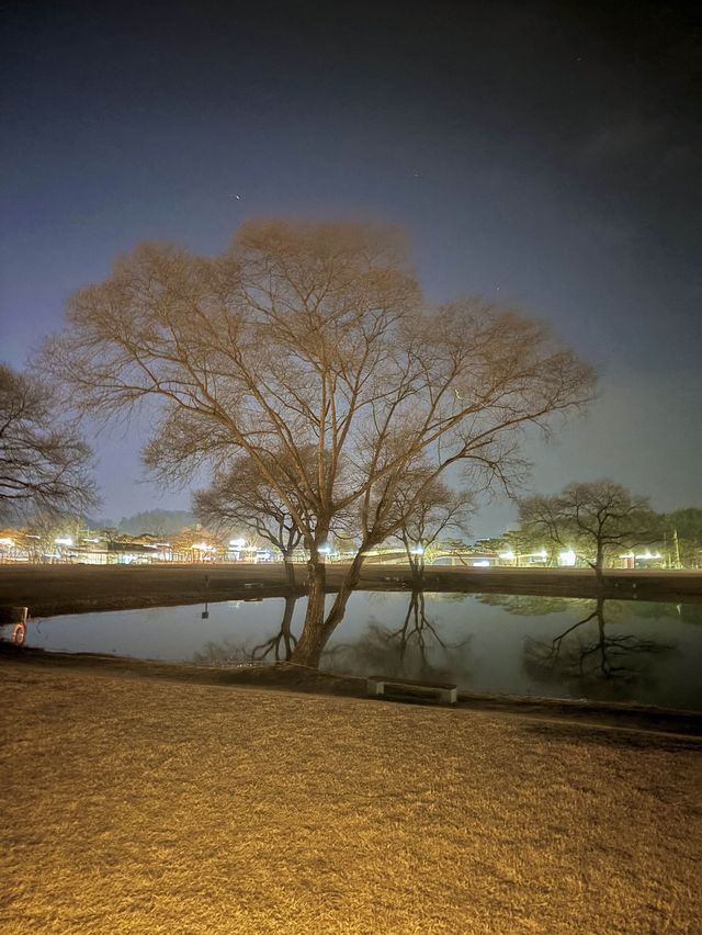 익산 대표 문화유적지 미륵사지의 야경✨💛