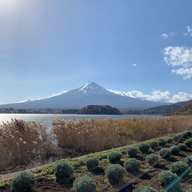 Fujisan ( ภูเขาฟูจิ ) 🗻