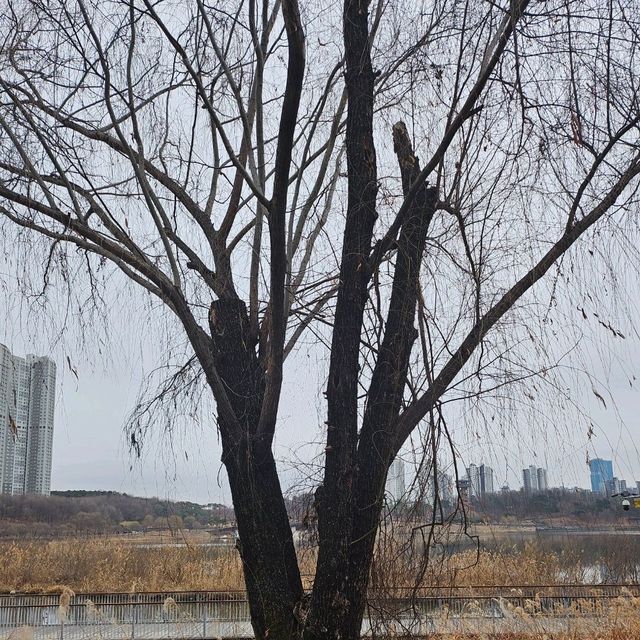 경기도에서 가장 큰 호수공원 <광교호수공원>❤️