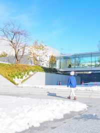 【長野】ここ行かなきゃ損！絶景が見渡せる美術館
