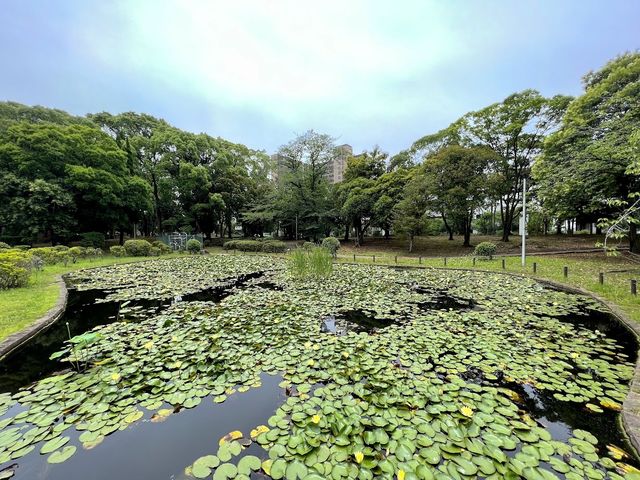 Minato Park