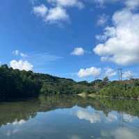 Mangrove in Japan Southern Island Ishigaki