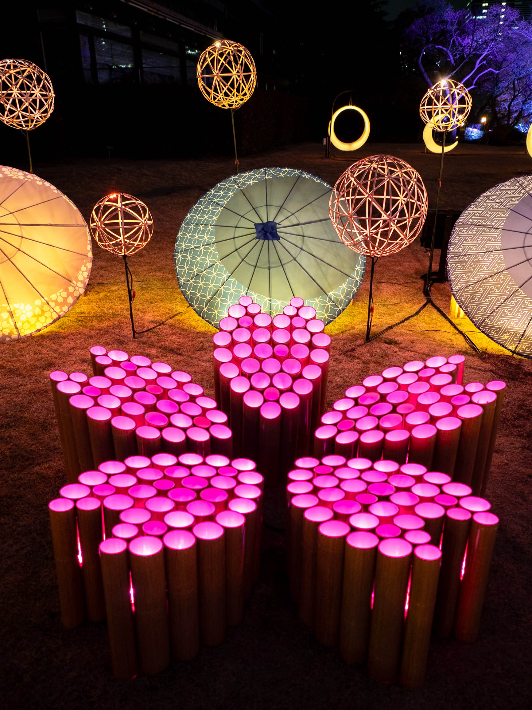 春の竹あかりイベント！🎋】竹あかりで作られた桜の花びらが可愛すぎる