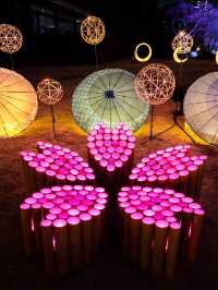 【春の竹あかりイベント！🎋】竹あかりで作られた桜の花びらが可愛すぎる！🌸✨