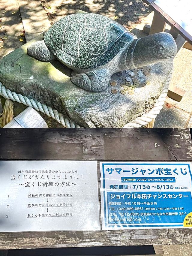 【酒列磯前神社/茨城県】約300mの樹叢と海の見える神社