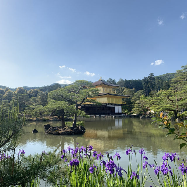 【京都の定番スポット★】金閣寺