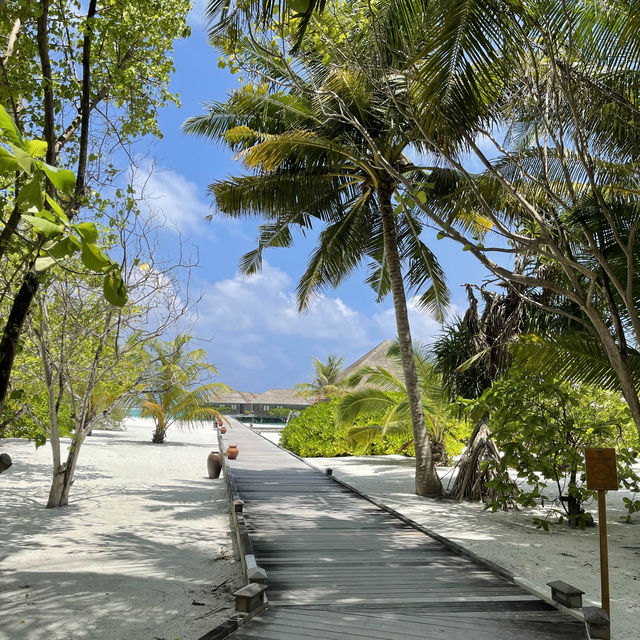 The everlasting beauty of Maldives 