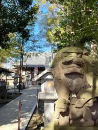 【大原神社/千葉県】夫婦神を祀る縁結びご利益あり