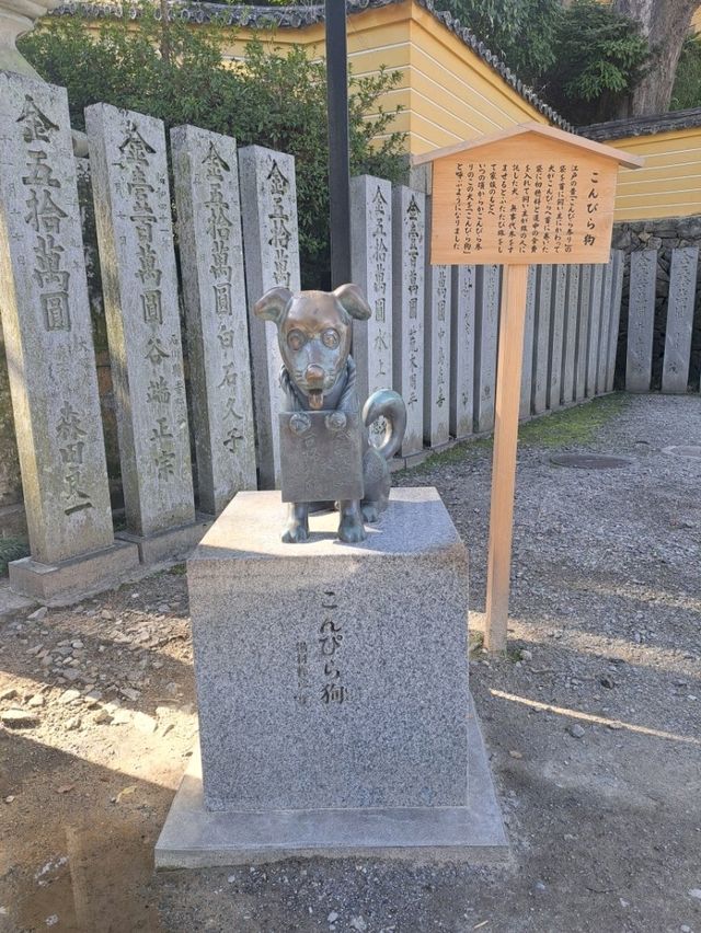 【香川県】ローカル線で気ままなひとり旅