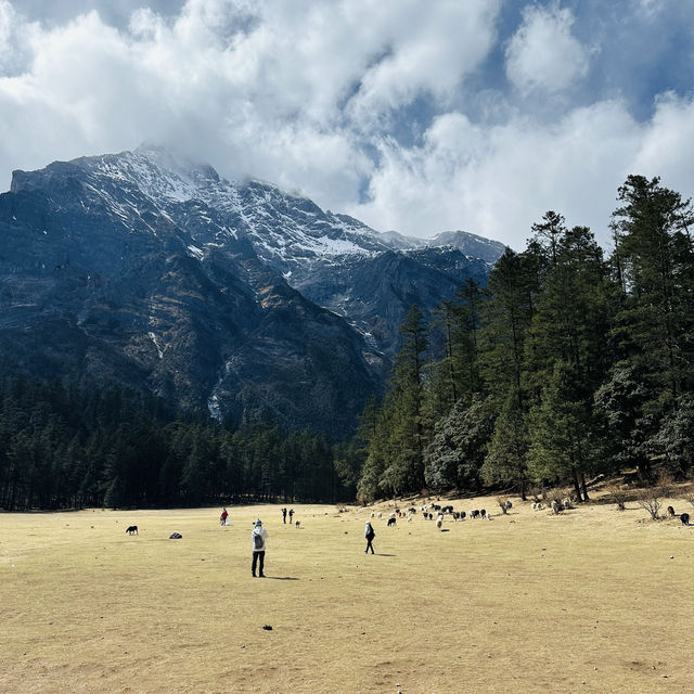 Lijiang Jade Dragon Snow Mountain Attractions