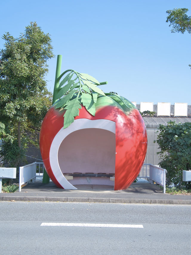 【長崎】どのバス停が好き？🚏フルーツや野菜の形をしたバス停スポットを紹介🔍