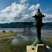 🌼 The Itsukushima Shrine of Japan