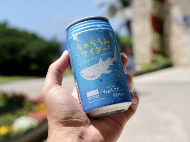 พิพิธภัณฑ์สัตว์น้ำโอกินาว่าชูราอุมิ Okinawa