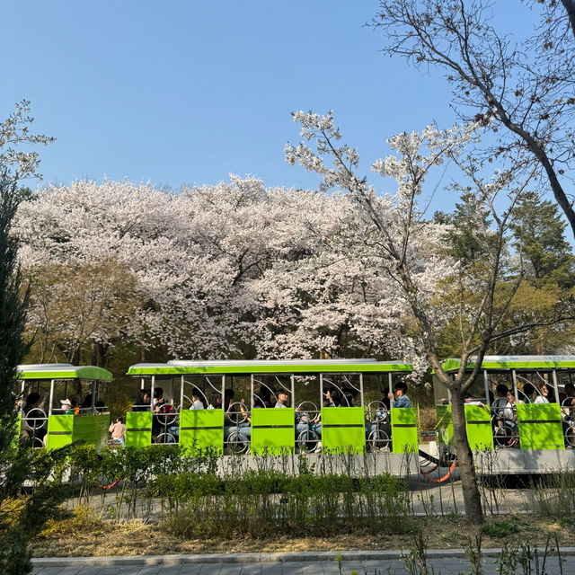서울랜드 전경 1