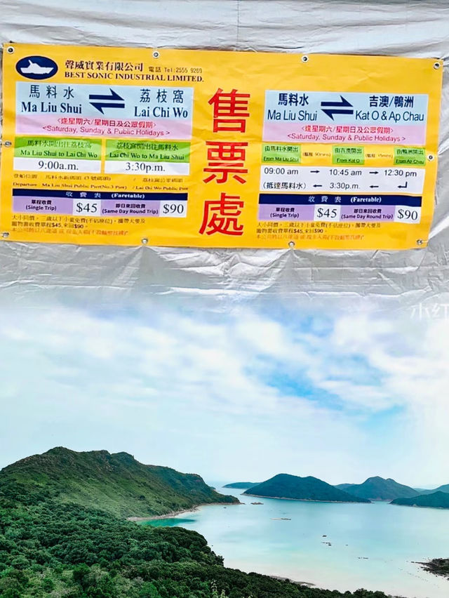 夏日探秘：鴨洲的紫色海蝕洞之旅