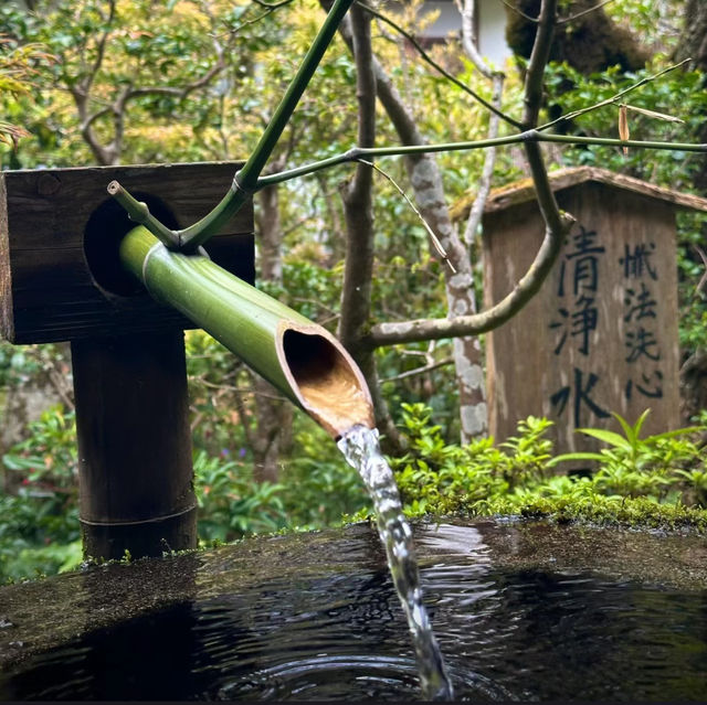 深田氏庭園：江戶時代傳統園林，春天好去處
