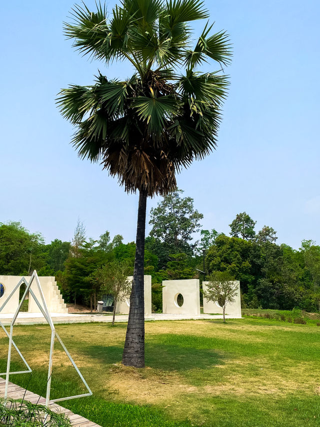 JUNGLE SPACE VILLAGE 