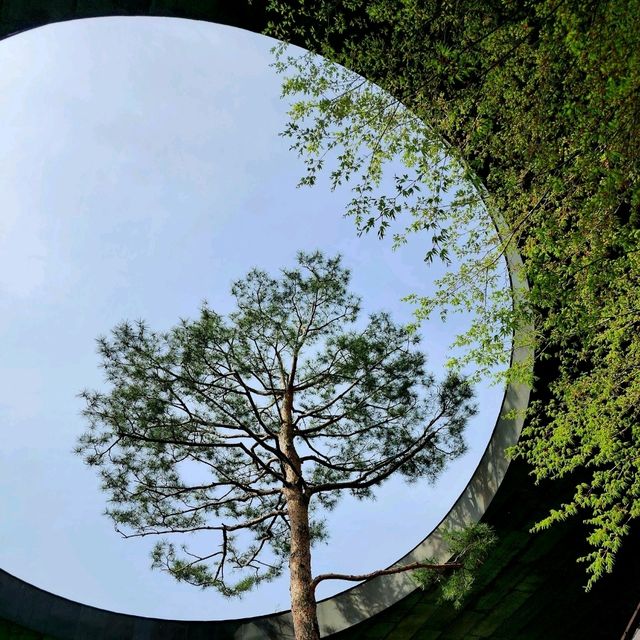HWADAM BOTANIC GARDEN 관중