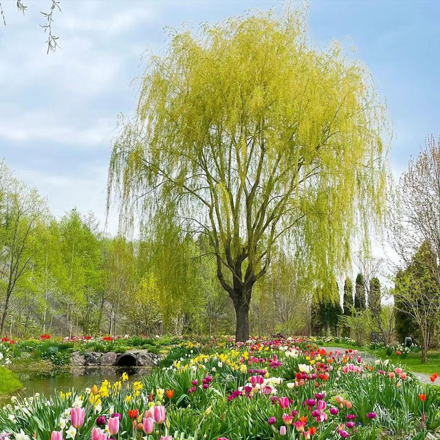 英彥山花園：和洋文化融合，英式鄉村庭院