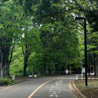 「谷中公園：歷史與自然之美，適合放鬆和沉思的春天好去處」