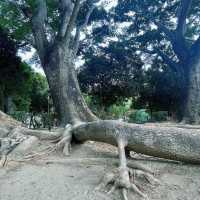 石炭記念公園：寧靜翠綠