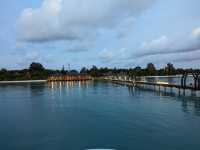 The Maldives-Paradise living with nature