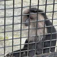 Having fun at Zoo Negara, we love Malaysia