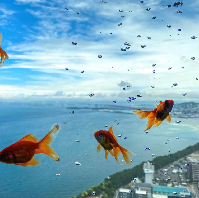 【香川】天空127mの空の金魚アート水族館