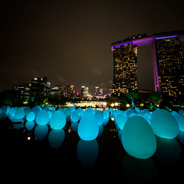Gardens by the Bay at Night: A Dazzling Urban Oasis