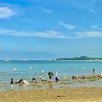당일치기 당진 여행 주차 가능 해수욕장, 왜목마을 해변⛱️