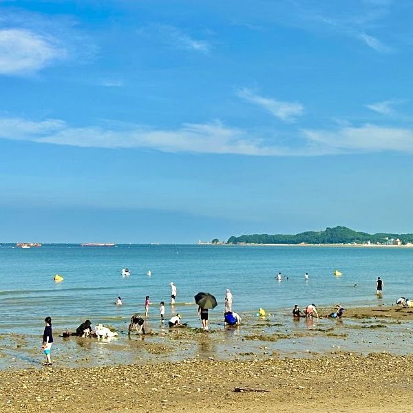 당일치기 당진 여행 주차 가능 해수욕장, 왜목마을 해변⛱️