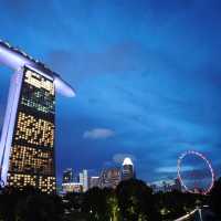 新加坡不能錯過之Garden by the bay