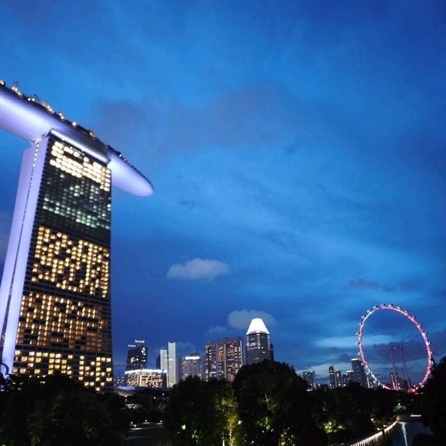 新加坡不能錯過之Garden by the bay