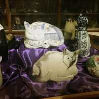Pawsitively Purrrfect: Exploring the Feline Wonders at the Cat Museum in Kuching, Sarawak