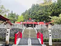 藤花盛開的金蛇水神社