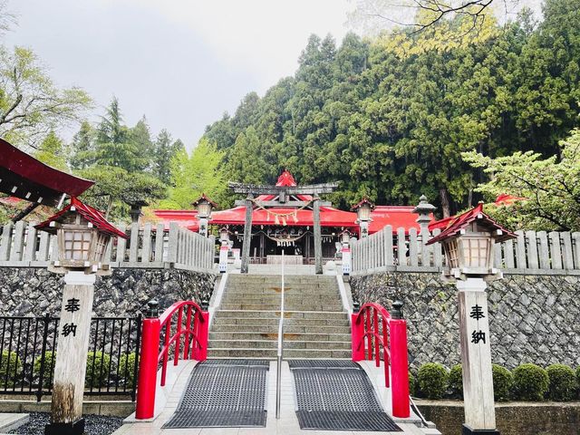 藤花盛開的金蛇水神社