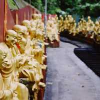 Ten Thousand Buddhas Monastery