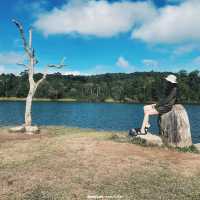 เขาใหญ่ เที่ยวได้ทั้งปี #อุทยานแห่งชาติเขาใหญ่ 