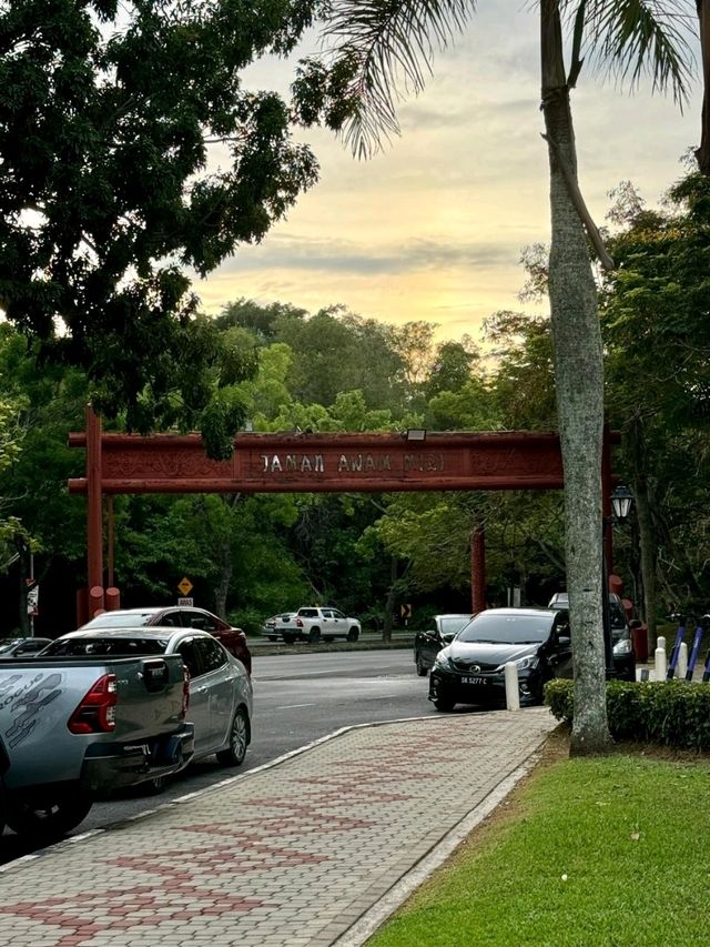 Taman Awam Miri 