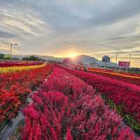 Goseokjeong Flower Garden 