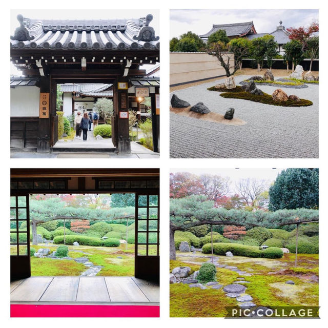 【京都観光】京都の紅葉スポット