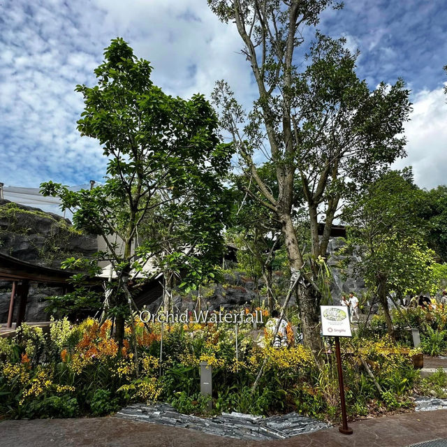 A Colorful Adventure at Bird Paradise Singapore