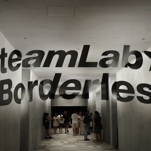 Teamlab Borderless - Is it worth going?