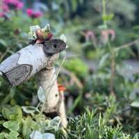 久屋大通庭園フラリエー入園無料