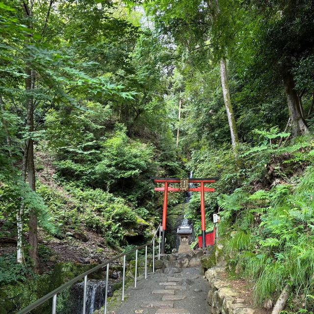 仲山神社🏯傳統宗教文化獨特魅力