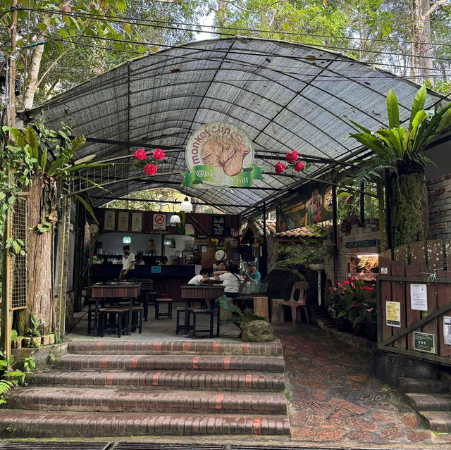 Kopi Hutan คาเฟ่ในป่าที่สูงที่สุดในปีนัง