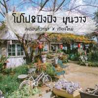 โปโป&ปิงปิง ขุนวาง 