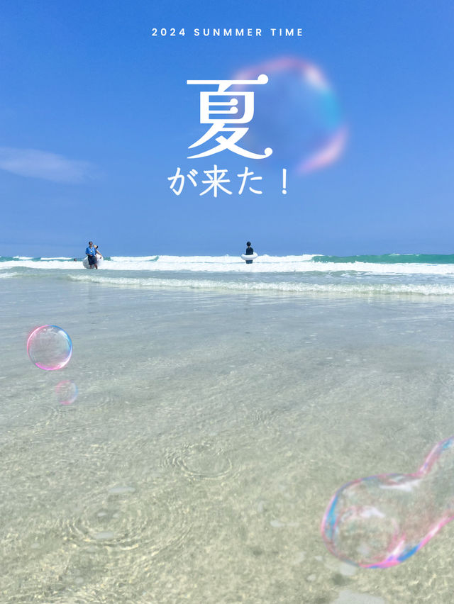 【伊豆】ココは南国!?透明度バツグンなビーチ🏖