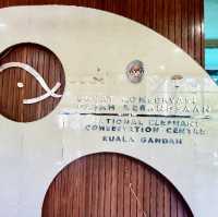 Kuala Gandah Elephant Sanctuary 