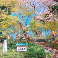 Ueno Onshi Park: Tokyo's Tranquil Oasis